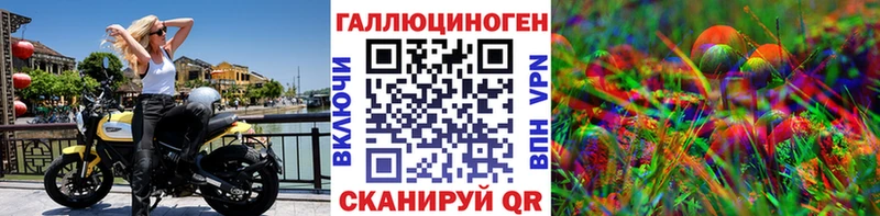 где купить наркотик  Тайга  Псилоцибиновые грибы Psilocybine cubensis 