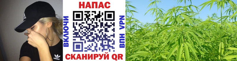 Каннабис гибрид  наркотики  KRAKEN ССЫЛКА  Тайга 